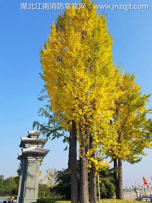 微信圖片_20171030073925.jpg 微信圖片_20171030073925.jpg