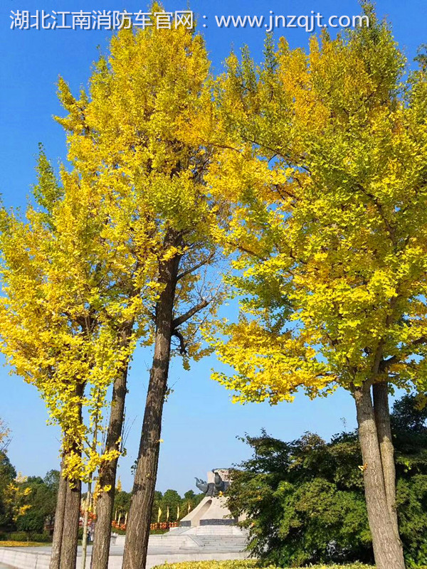 微信圖片_20171030073901.jpg 微信圖片_20171030073901.jpg